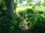 Coventry to Meriden 87