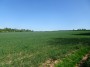Meriden to Barston 4 Meriden to Barston 4
