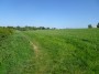 Meriden to Barston 5
