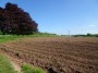 Meriden to Barston 8 Meriden to Barston 8