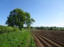 Meriden to Barston 9 Meriden to Barston 9