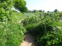 Meriden to Barston 10