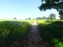 Meriden to Barston 13