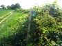 Meriden to Barston 20 Meriden to Barston 20