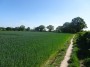 Meriden to Barston 21 Meriden to Barston 21