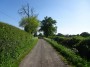 Meriden to Barston 28