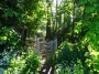 Meriden to Barston 30