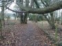 Meriden to Barston 47 Meriden to Barston 47