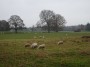 Meriden to Barston 50 Meriden to Barston 50
