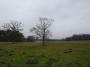 Meriden to Barston 53