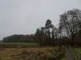 Meriden to Barston 55 Meriden to Barston 55