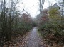 Meriden to Barston 59