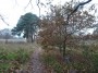 Meriden to Barston 63