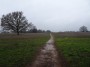 Meriden to Barston 66 Meriden to Barston 66