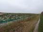 Meriden to Barston 72