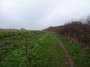 Meriden to Barston 73