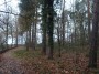 Meriden to Barston 81