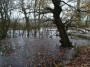Meriden to Barston 82
