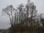 Meriden to Barston 84