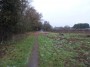 Meriden to Barston 91 Meriden to Barston 91