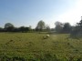 Meriden to Barston 95 Meriden to Barston 95