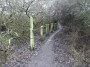 Meriden to Barston 108