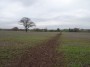 Meriden to Barston 129 Meriden to Barston 129
