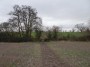 Meriden to Barston 130