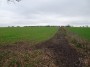 Meriden to Barston 132 Meriden to Barston 132