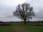 Meriden to Barston 135
