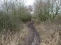 Meriden to Barston 137