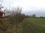 Meriden to Barston 141