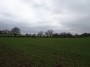 Meriden to Barston 142