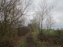 Meriden to Barston 145 Meriden to Barston 145