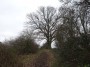 Meriden to Barston 149