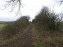 Meriden to Barston 151 Meriden to Barston 151