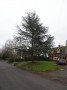 Meriden to Barston 166