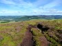 Track on the Cromdale ridge - Photo: John Henderson