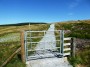 Track to Carn Daimh on the Speyside Way Track to Carn Daimh on the Speyside Way