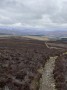Looking back to Tomintoul with the Cairngorms behind - Photo: Julie Cribb Looking back to Tomintoul with the Cairngorms behind - Photo: Julie Cribb