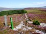 Track off Carn Daimh Track off Carn Daimh