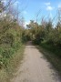 Bedford-Sandy railway lline Bedford-Sandy railway lline