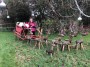 Santa on his sleigh with his reindeers just outside Therfield. Very cleverly done. Santa on his sleigh with his reindeers just outside Therfield. Very cleverly done.