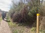 The gap in the hedge is where the canal used to run, It was diverted during the construction of a road The gap in the hedge is where the canal used to run, It was diverted during the construction of a road