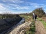Section of Wendover Arm the  Wendover Canal Trust is currently restg#oring
