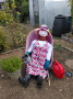 At the allotment
