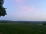 Tristan's photo