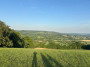 Tristan's photo