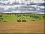 A RURAL SCENE ! A RURAL SCENE !