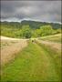 RURAL SURROUNDINGS. RURAL SURROUNDINGS.